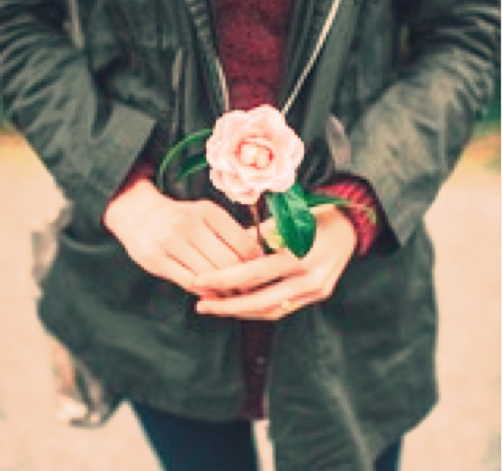 Photo of a man holding a pink rose